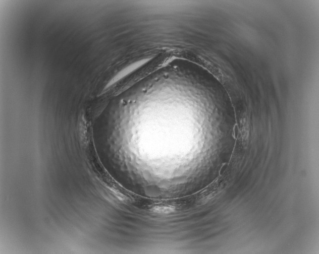 X0000075840653200609291439