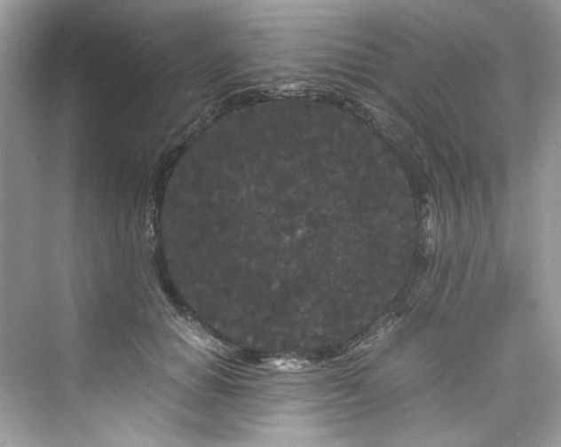 X0000075840654200609291439