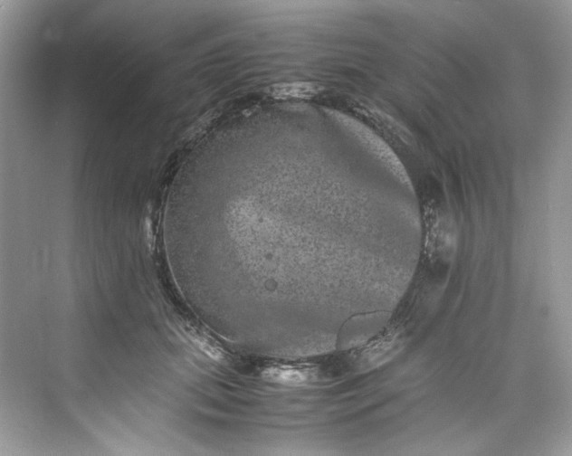 X0000075840655200609291439