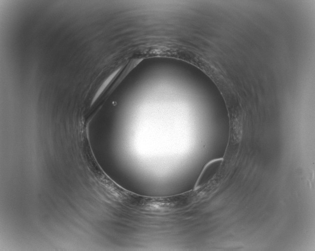 X0000075840657200609291439