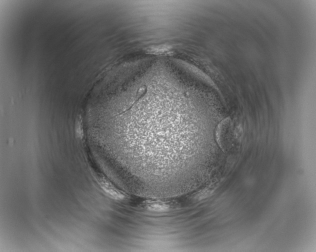 X0000075840658200609291439