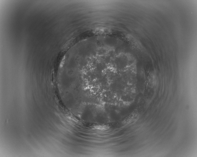 X0000075840659200609291439