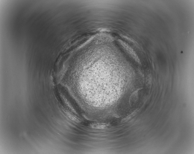 X0000075840661200609291439