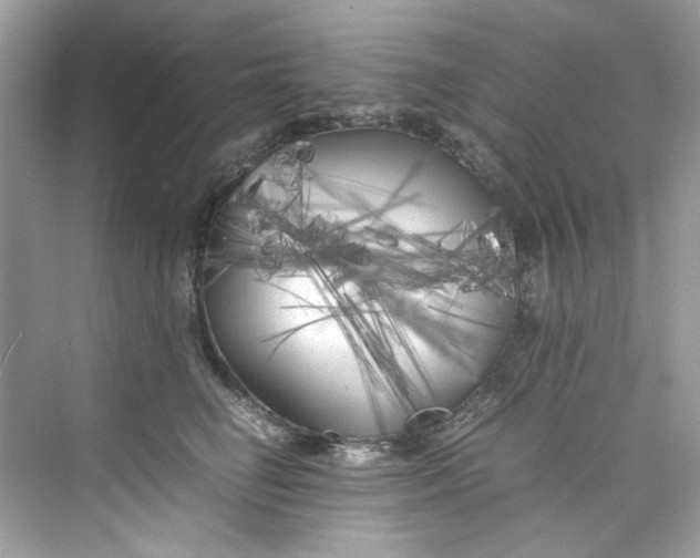 X0000075840662200609291439