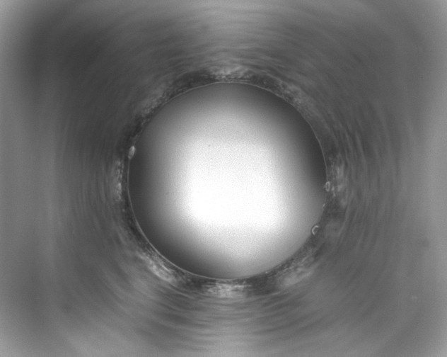 X0000075840664200609291439