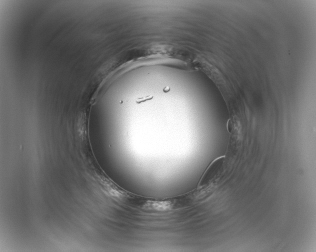 X0000075840665200609291439