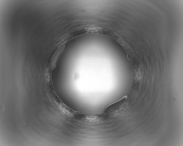 X0000075840666200609291439