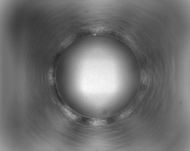 X0000075840670200609291439