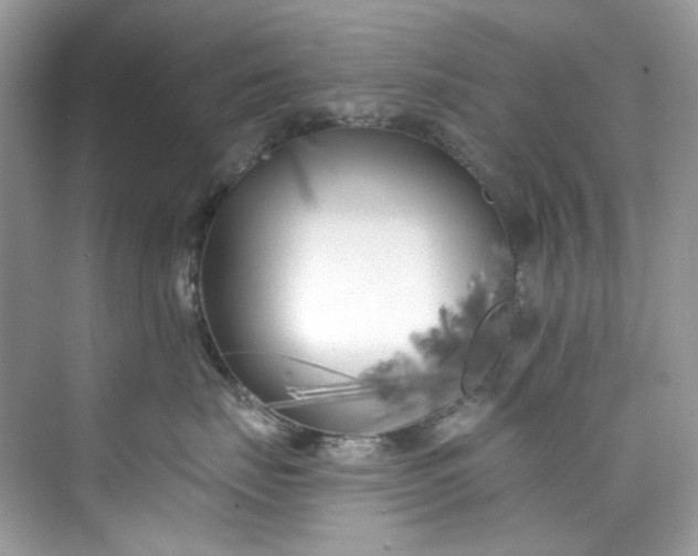 X0000075840671200609291439