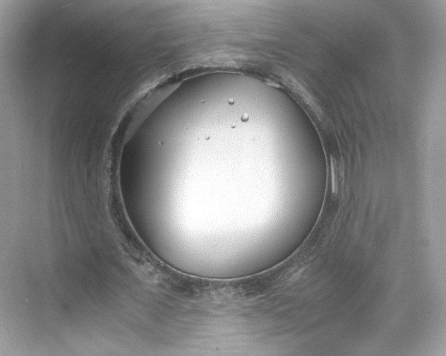 X0000075840675200609291438