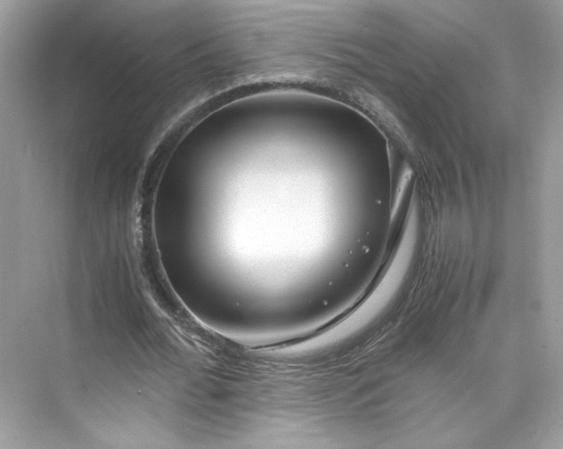 X0000075840676200609291438