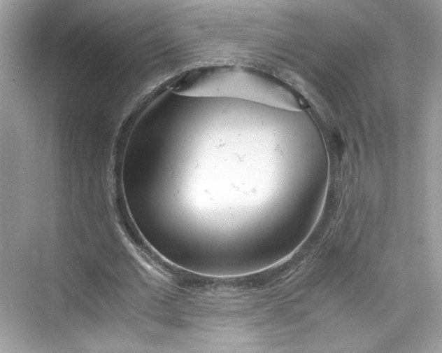 X0000075840677200609291438