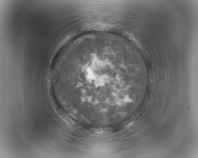 X0000075840679200609291438