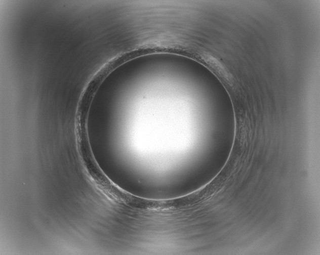 X0000075840680200609291438