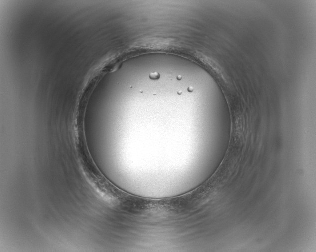 X0000075840682200609291438