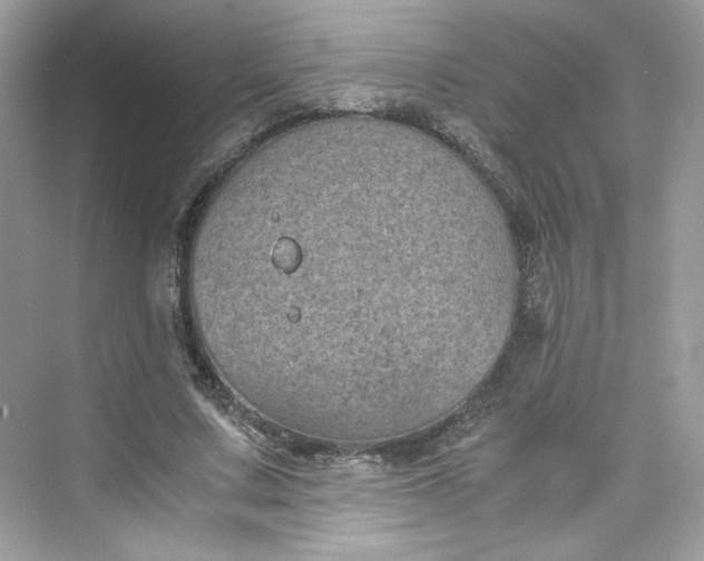 X0000075840683200609291438