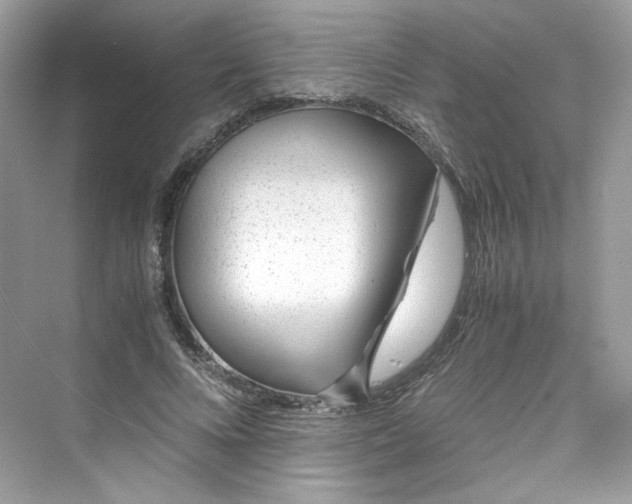 X0000075840688200609291438