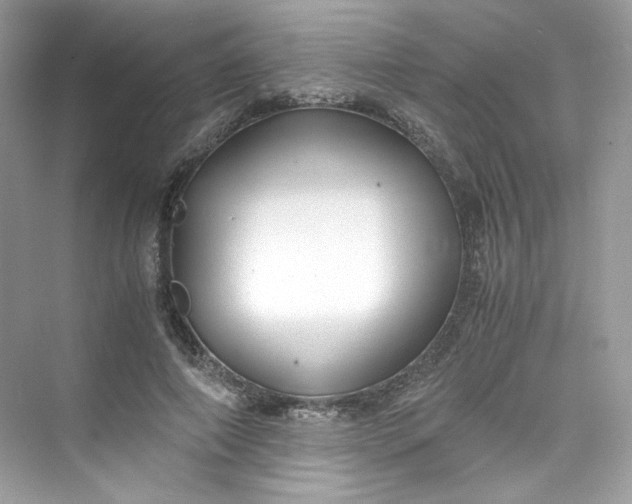 X0000075840690200609291438