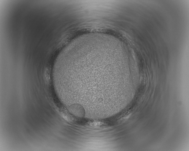 X0000075840695200609291438