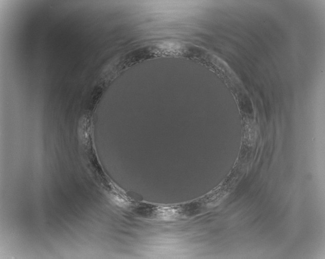 X0000075840701200609291438