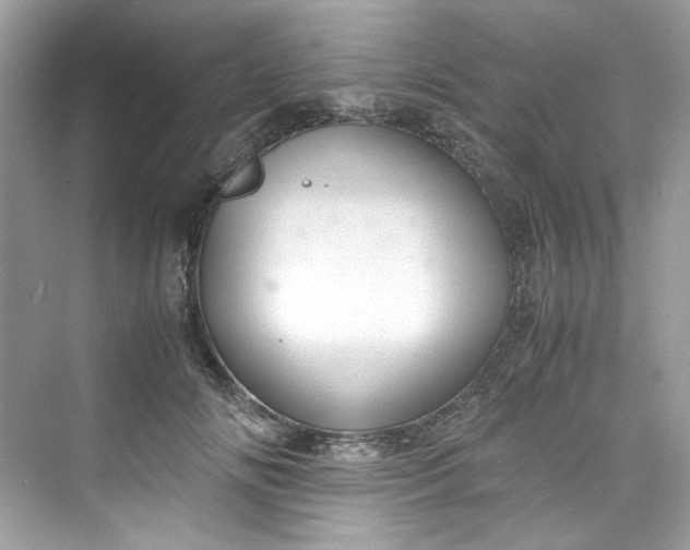 X0000075840702200609291438