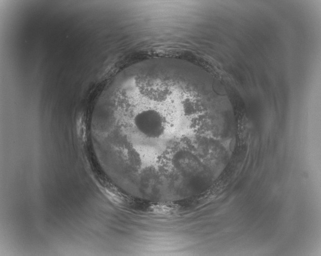 X0000075840703200609291438