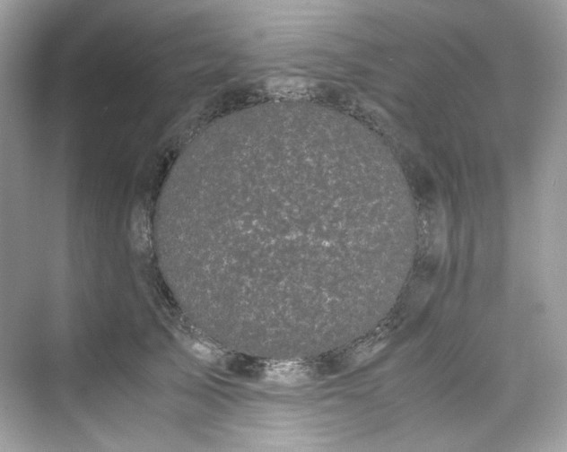 X0000075840705200609291438