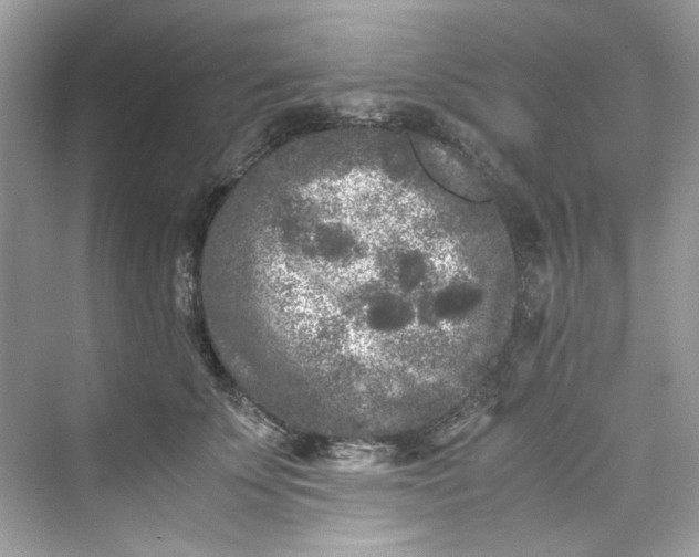 X0000075840707200609291438