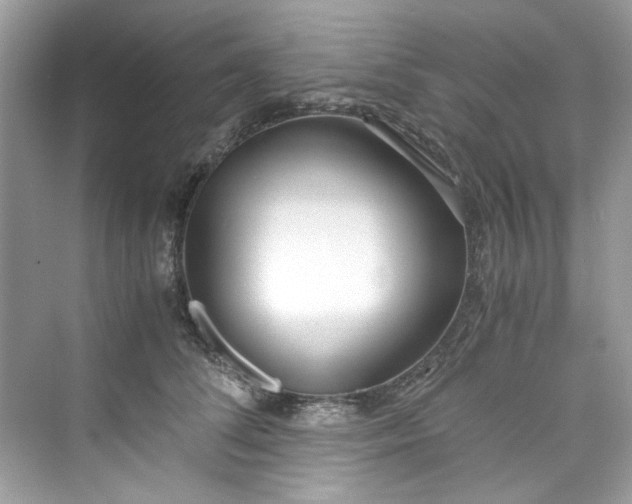 X0000075840708200609291438