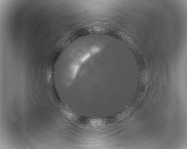 X0000075840709200609291438