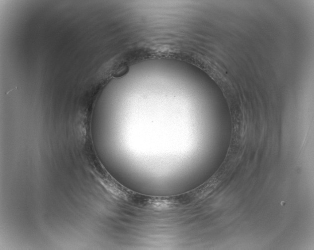 X0000075840710200609291438