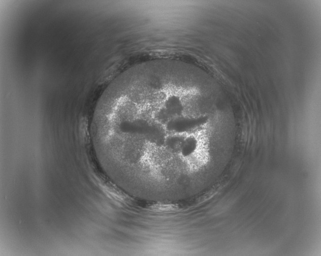 X0000075840711200609291438