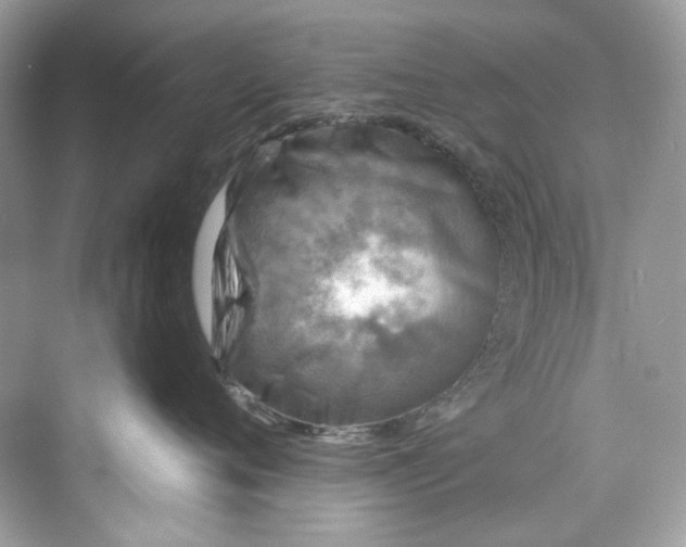 X0000075840720200609291438