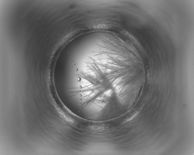 X0000075840725200609291437