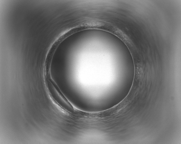 X0000075840726200609291437