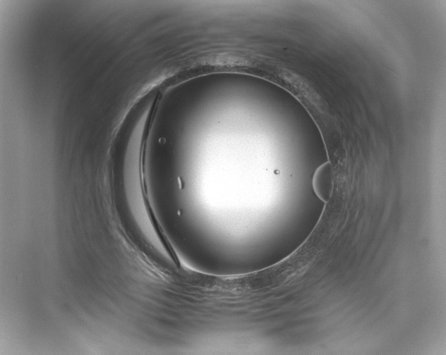 X0000075840727200609291437