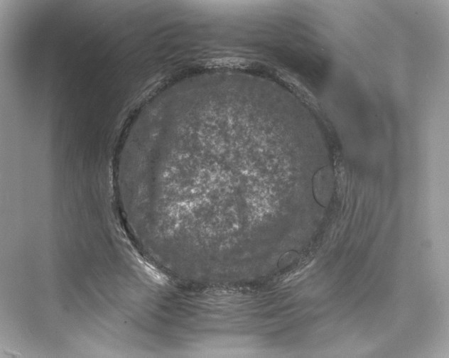 X0000075840729200609291437