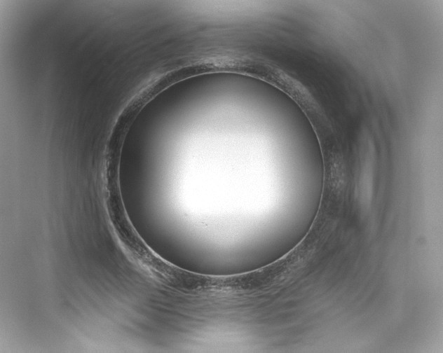 X0000075840730200609291437