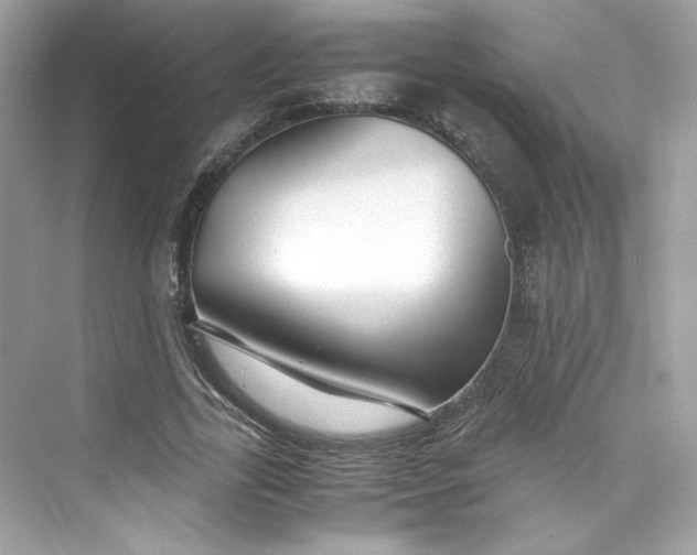 X0000075840731200609291437