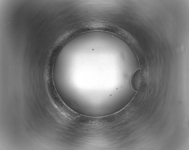 X0000075840732200609291437