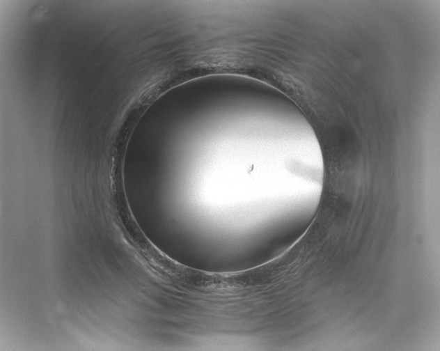 X0000075840735200609291437