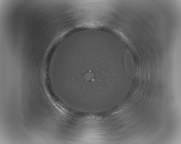 X0000075840736200609291437