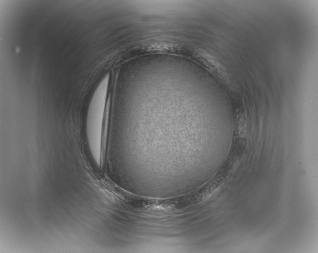 X0000075840737200609291437