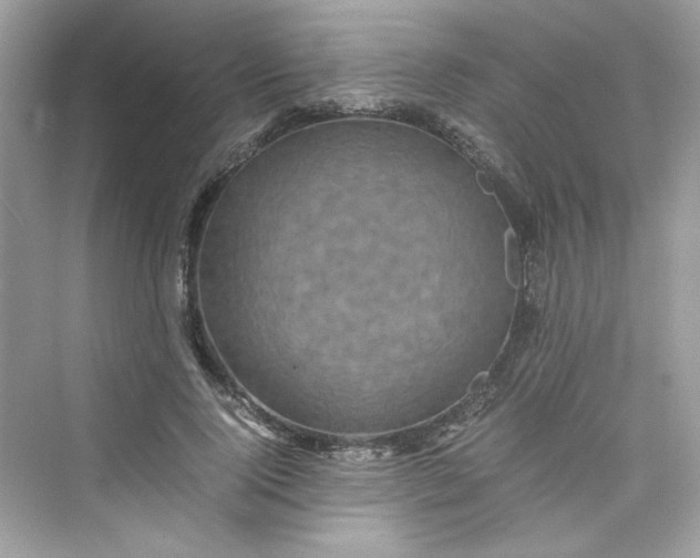 X0000075840740200609291437