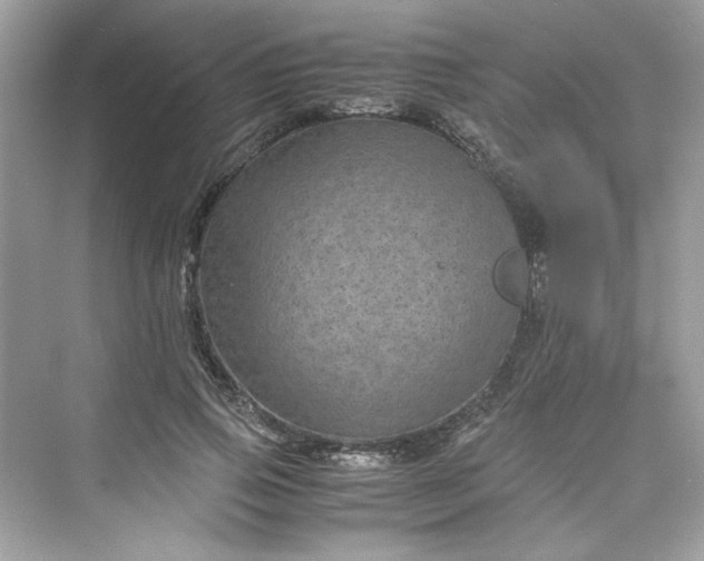 X0000075840741200609291437