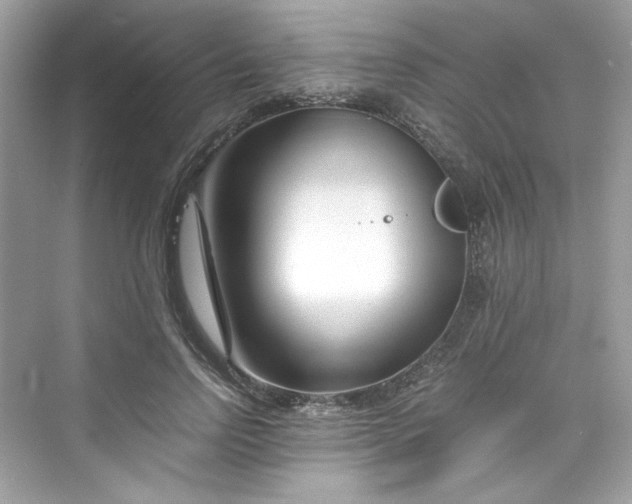 X0000075840742200609291437