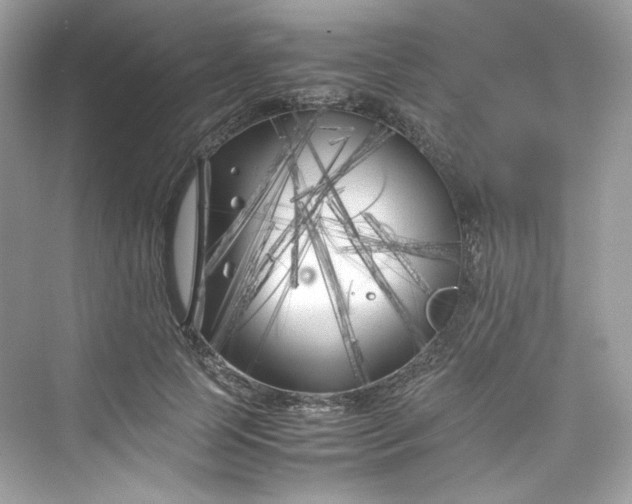 X0000075840745200609291437