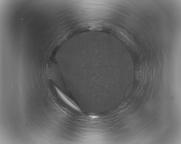 X0000075840748200609291437