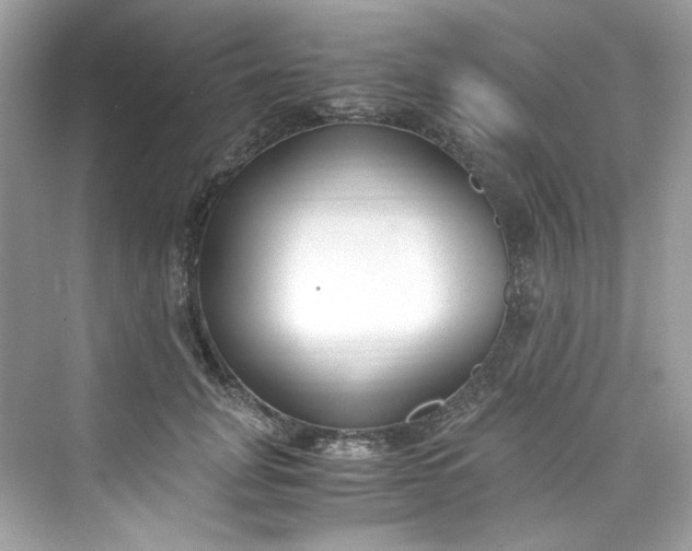 X0000075840751200609291437