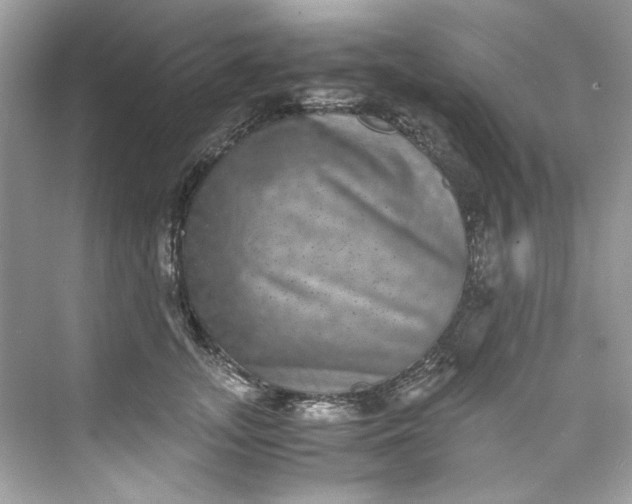 X0000075840755200609291437